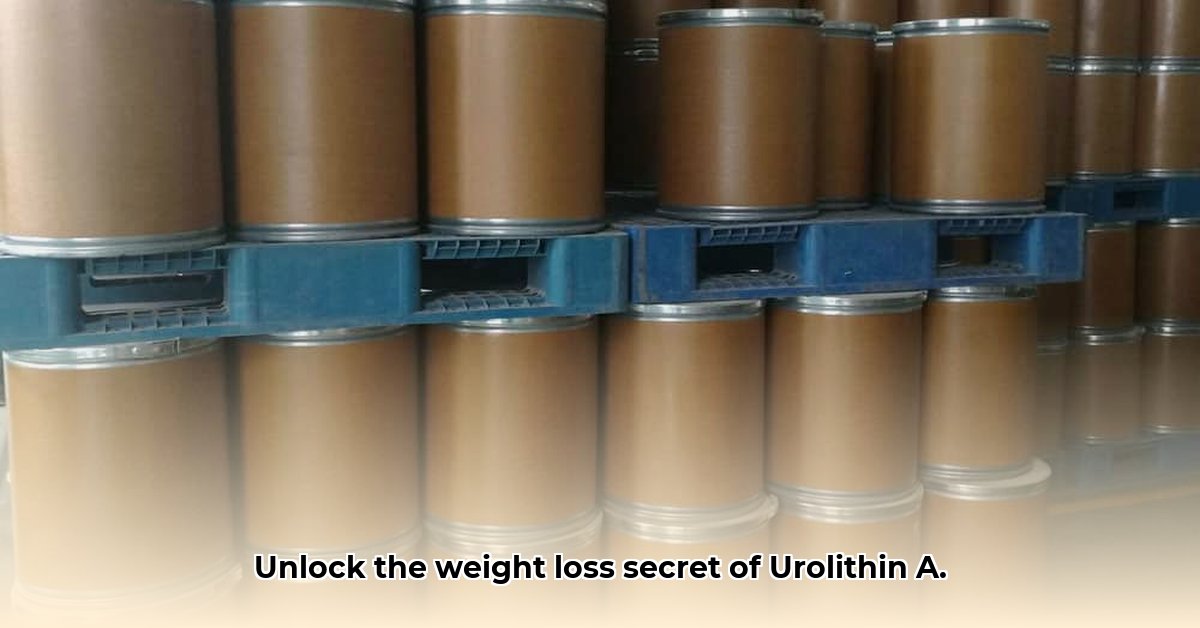 urolithin-a-weight-loss